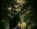 PDVD_1327