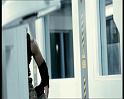 PDVD_1677