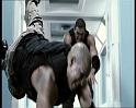 PDVD_1687