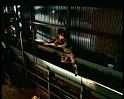PDVD_1826