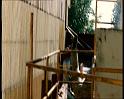 PDVD_2078