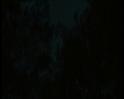 PDVD_804