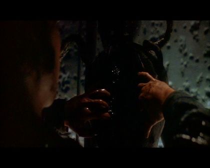 PDVD_2210.jpg
