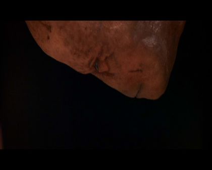PDVD_2326.jpg