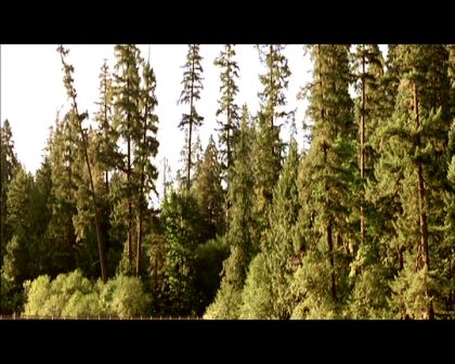 PDVD_363.jpg