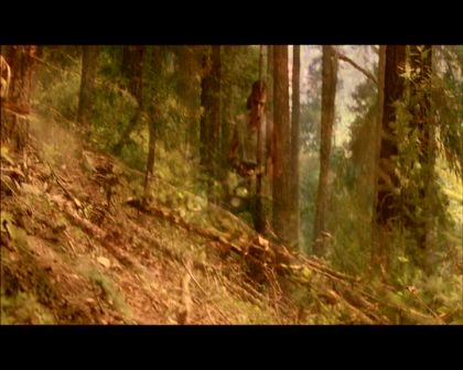PDVD_391.jpg