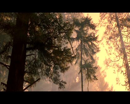 PDVD_404.jpg