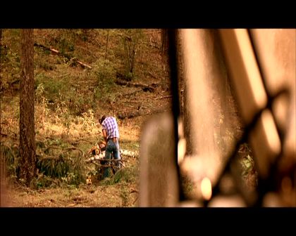 PDVD_436.jpg