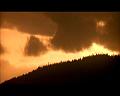 PDVD_1484