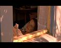 PDVD_322