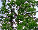 PDVD_1143
