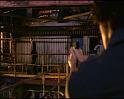 PDVD_1735