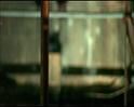 PDVD_1756