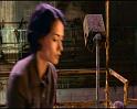 PDVD_1769