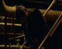 PDVD_1772