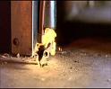 PDVD_254