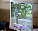 PDVD_406
