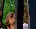 PDVD_524