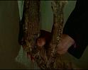 PDVD_733