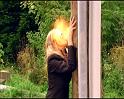 PDVD_769