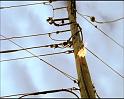 PDVD_771