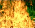PDVD_890