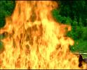 PDVD_891