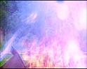 PDVD_895