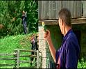 PDVD_896
