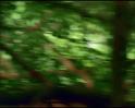 PDVD_933