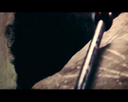PDVD_1187.jpg