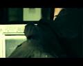 PDVD_1100