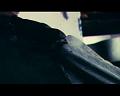 PDVD_1149