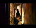 PDVD_1294