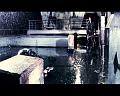 PDVD_1835