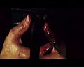 PDVD_1862
