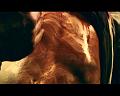 PDVD_254