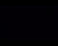 PDVD_921