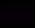 PDVD_923