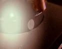 PDVD_1247