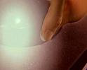 PDVD_1248