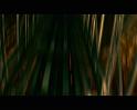 PDVD_1257