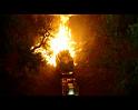 PDVD_154