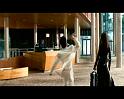 PDVD_1644