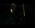 PDVD_178