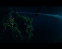 PDVD_311