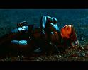 PDVD_313