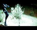 PDVD_342