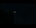 PDVD_347