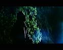 PDVD_350